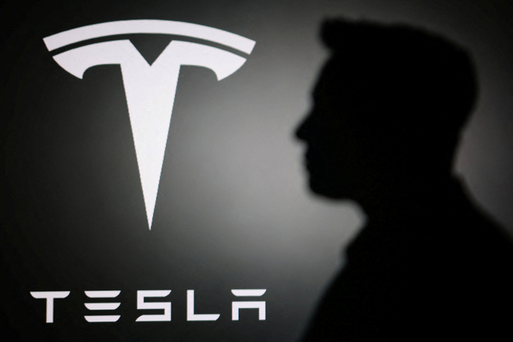 Illustration shows silhouette of Elon Musk and Tesla logo