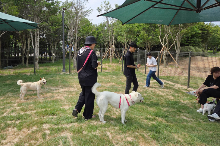 반려견 산책길이 더 즐거워진다…광주 첫 공공 놀이터 30일부터 정식 운영