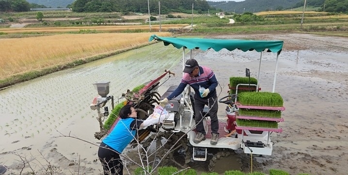진도군, 농업인 온열질환 예방 현장활동 추진