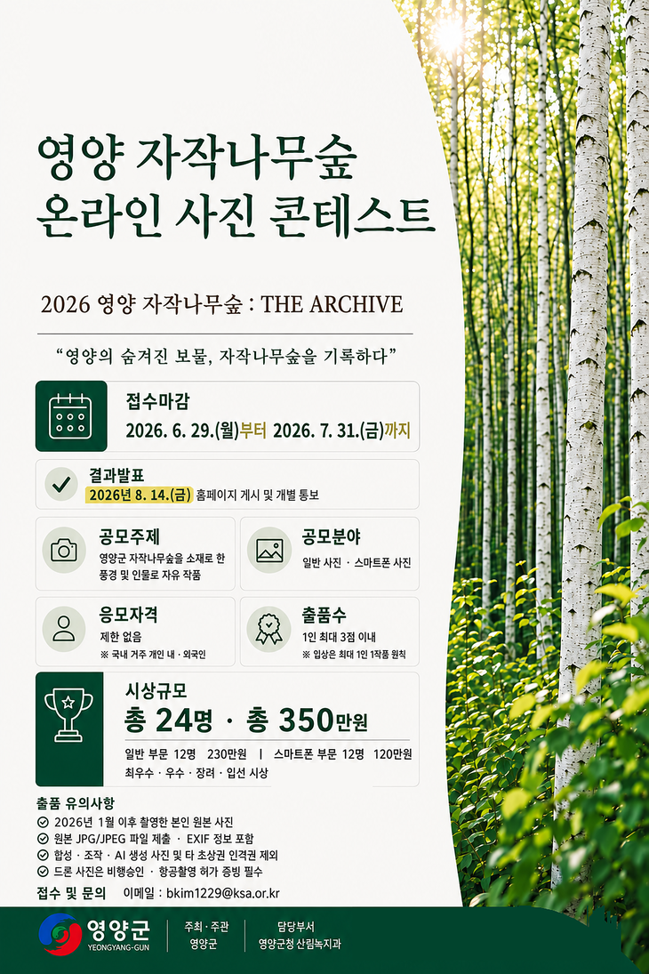 영양군, 자작나무숲 매력 담을 온라인 사진 공모전 진행