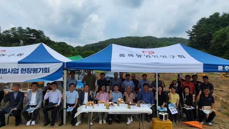 육성 감자 현장평가회