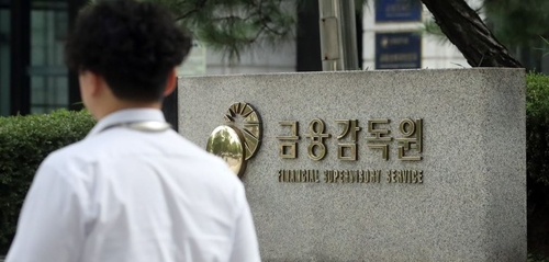 금융감독원.