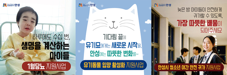 안성시가 고향사랑기부제 지정기부사업인 '1형당뇨 지원사업', '유기동물 입양 활성화 지원사업', '청소년 야간 안전 귀가 지원사업' 홍보를