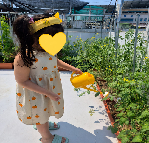 동두천시 어린이집 상자텃밭 보급사업 현장