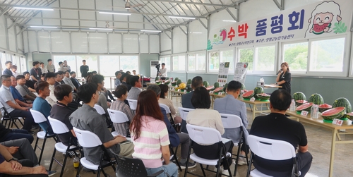 경기도농업기술원 7일 양평 수박 신품종 평가회 개최
