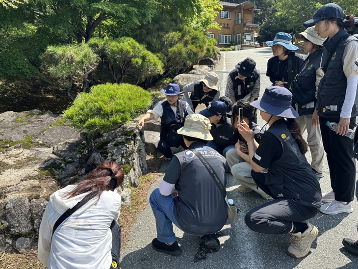 OECM 네이처 챌린지 참가자들이 칠보산자연휴양림에서 산림생태를 관찰하고 있다. 사진=산림청