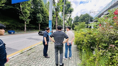 군포시 도로변 제초작업