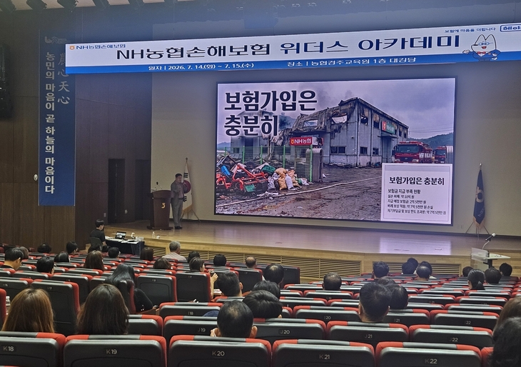 농협손보
