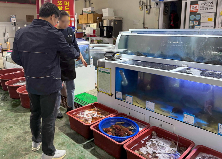 진도군, 휴가철 수산물 원산지 표시 특별점검