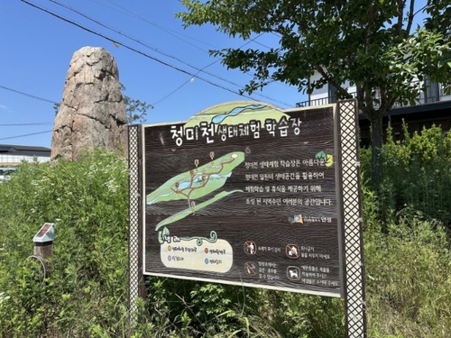 경기도 안성 청미천 ECO나들이 생태학습장