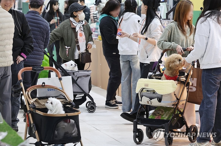“강아지 유치원비 때문에 알바 늘렸다”…펫플레이션에 등골 빠진 청년 반려인