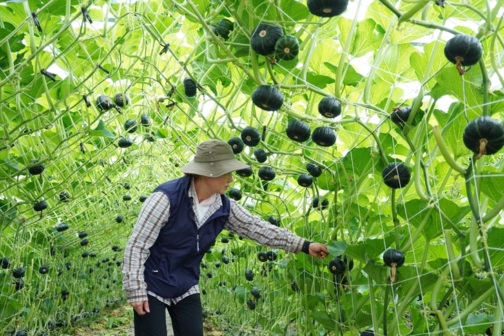 해남군, 해남 밤호박 활용한 당뇨환자용 식단형 식품 개발