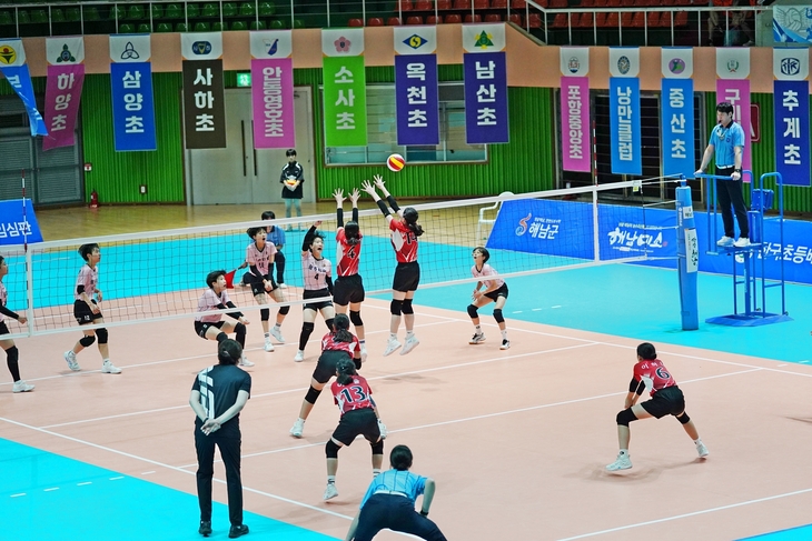 전국 초등배구 유망주 다 모여라, 해남서 코트 달군다