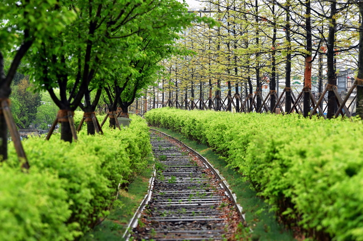 원주시 치악산 바람길숲