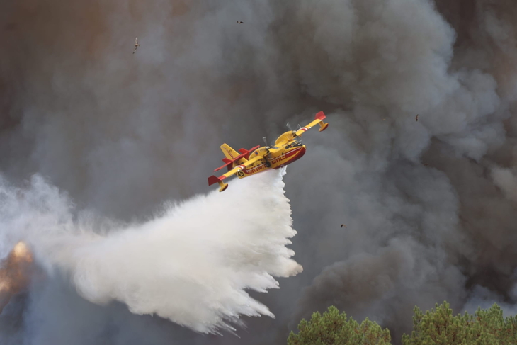 FRANCE FOREST FIRE