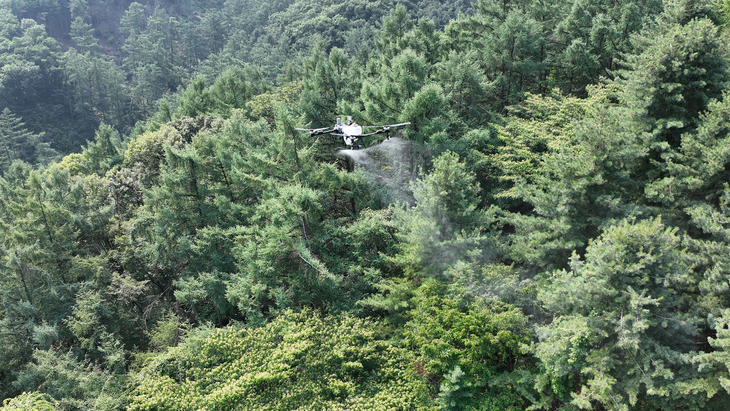 드론을 활용한 소나무재선충병 항공방제가 경기도 내 산림에서 진행되고 있다. 제공=경기도