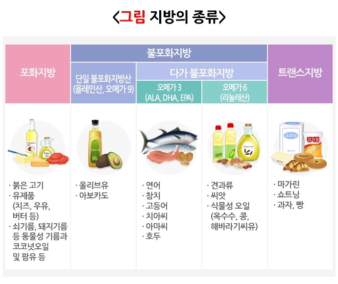 지방의 종류