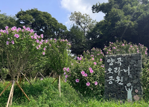 경기도 조성 무궁화동산