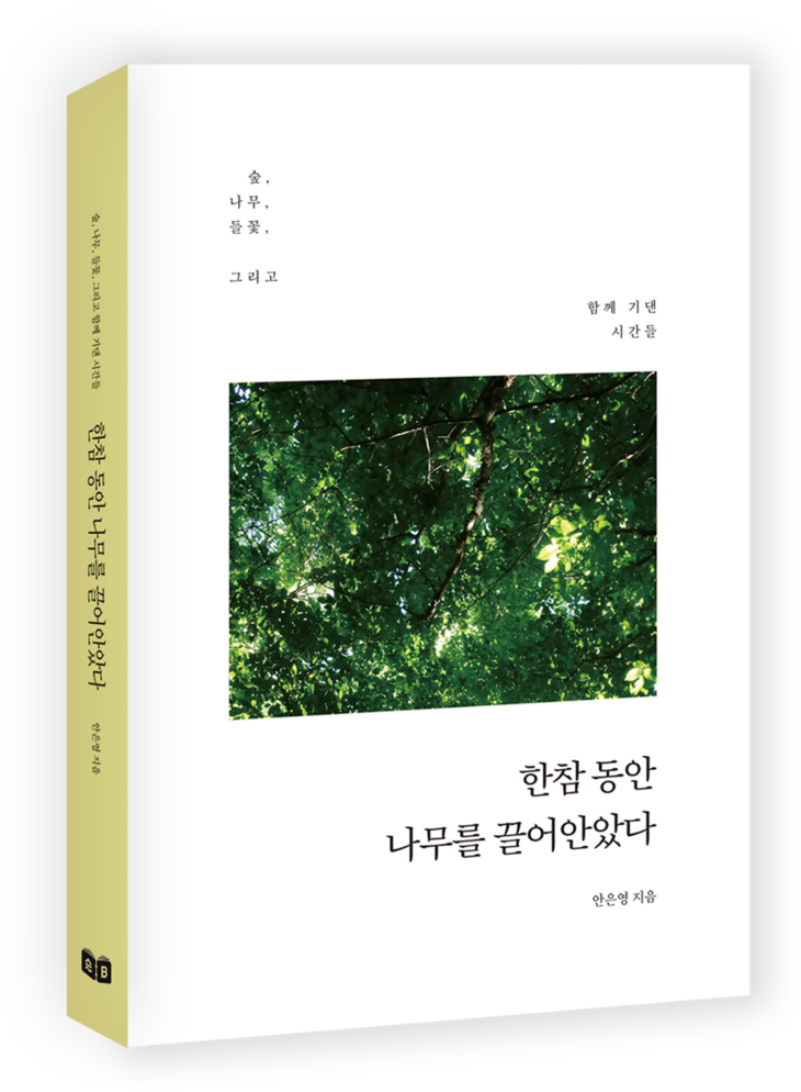 한참 동안 나무를 끌어안았다