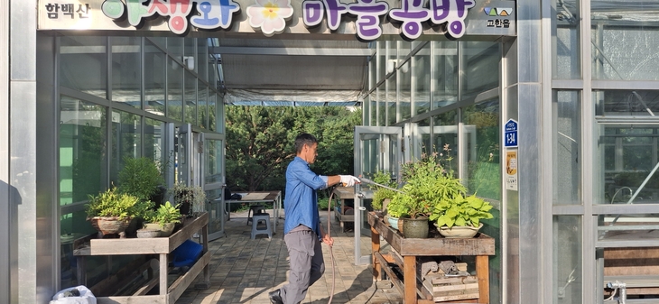 야생화 보급