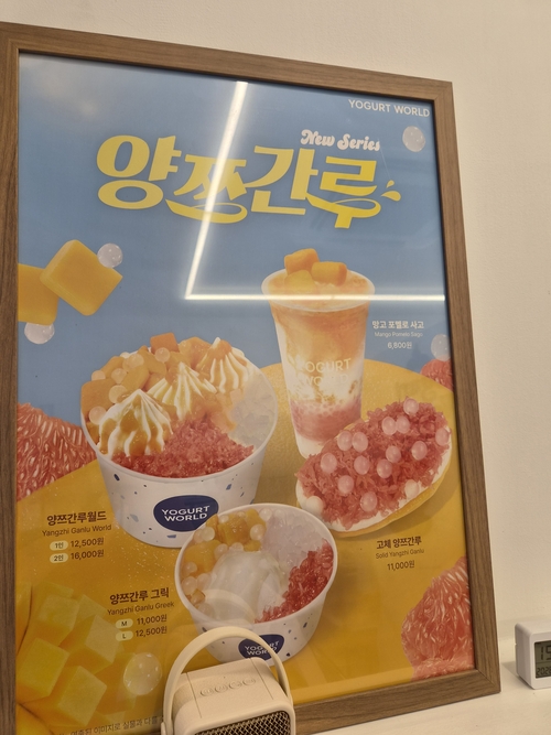 디저트 프랜차이즈 요거트월드에서 '양쯔간루'라는 이름으로 다양한 제품을 판매 중이다. 사진=여헌우 기자.