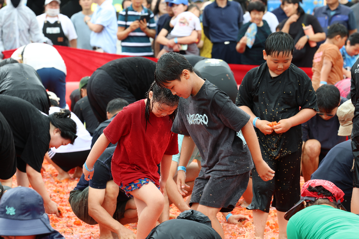 제15회 둔내고랭지토마토축제