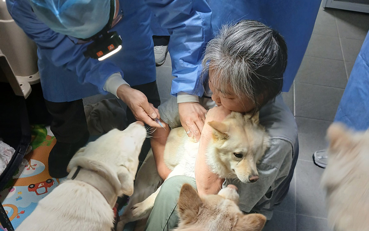 '찾아가는 동물보호시설 진료활동 지원사업' 현장에서 수의진료 봉사자가 보호동물에게 예방접종 및 건강검진을 실시하고 있다. 제공=경기도