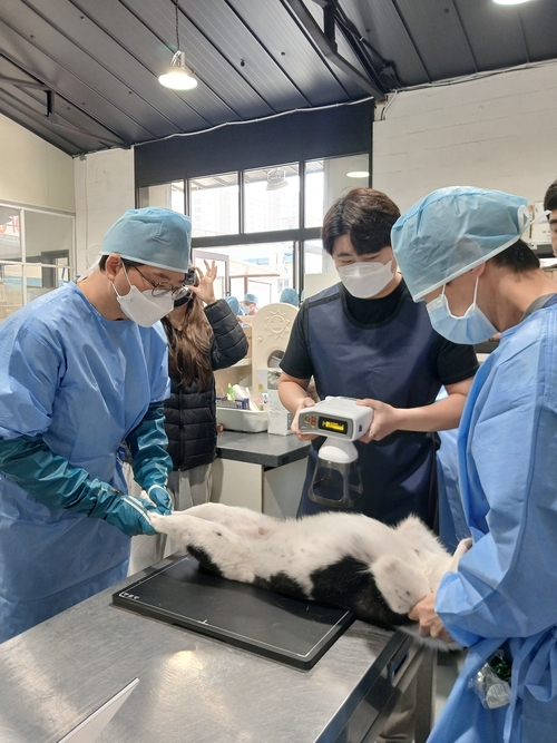 경기도 찾아가는 동물보호시설 진료활동 지원 현장
