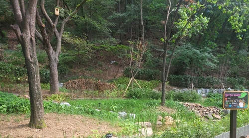 안양시 병목안시민공원 나무에 새집 설치