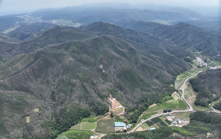 산불 피해 5개 시·군 산림경영특구 구축 완료…지역별 맞춤형 산림 재건 나선다