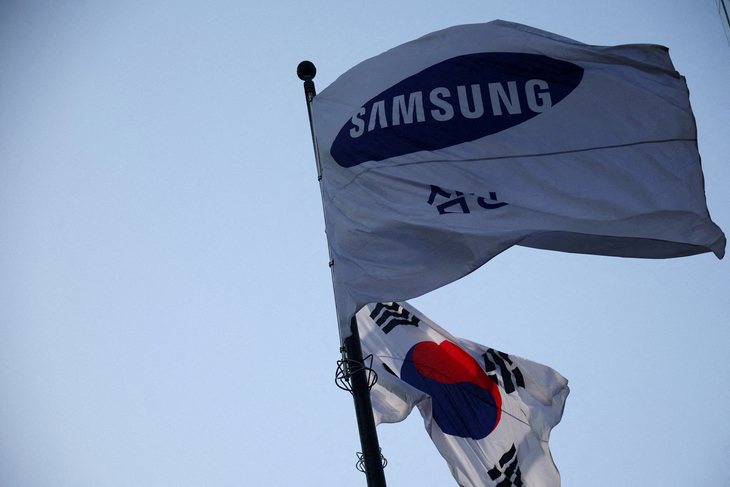 SAMSUNG ELEC-DISPUTE/