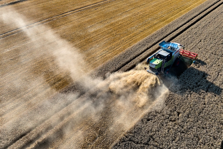 Germany Agriculture