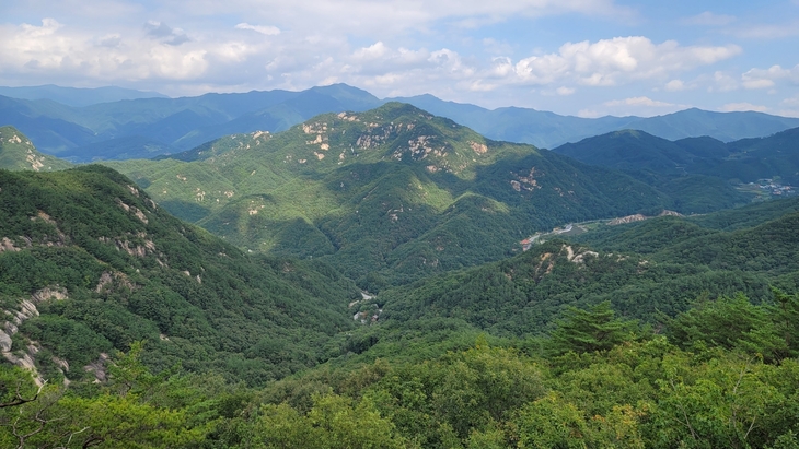 세계 보호·보전지역 데이터베이스에 OECM으로 공식 등재된 국립황정산자연휴양림 전경. 사진=산림청