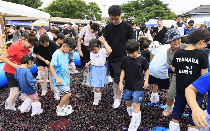 화성송산포도축제 행사장에서 어린이와 시민들이 비닐 신발을 신은 채 포도 밟기 체험을 즐기고 있다. 제공=화성시