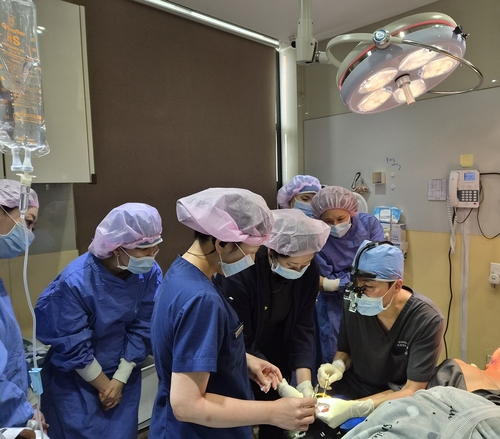 경복대학교 의료미용학과 교수진 교수연수 중 루비성형외과 수술 참관