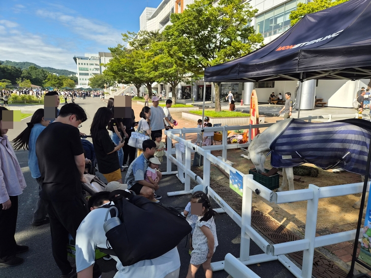 6일 렛츠런파크 서울을 찾은 관람객들이 말을 살펴보고 있다. 사진=여헌우 기자.