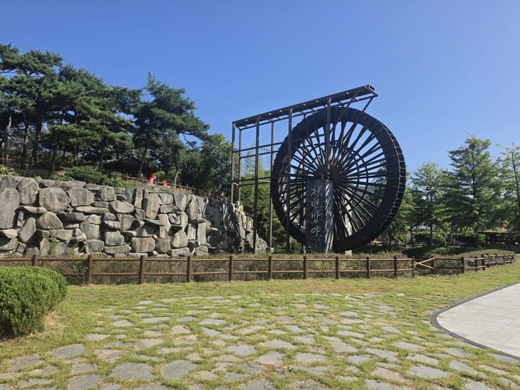 붉은 상사화 손님맞이…영광군 환경정비 '총력'