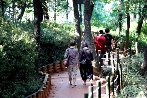 광명시민 걷기 현장