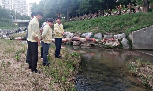 조용익 부천시장 6일 물고기 폐사 및 거품 유입 상황 보고 받은 직후 베르네천 일대 점검