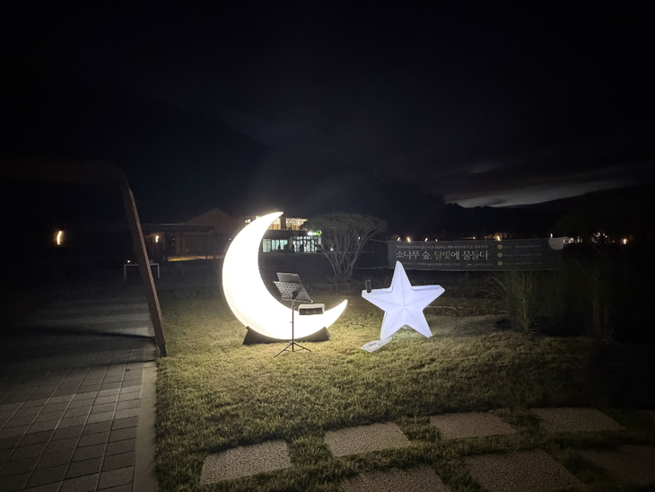 평창 치유의 숲
