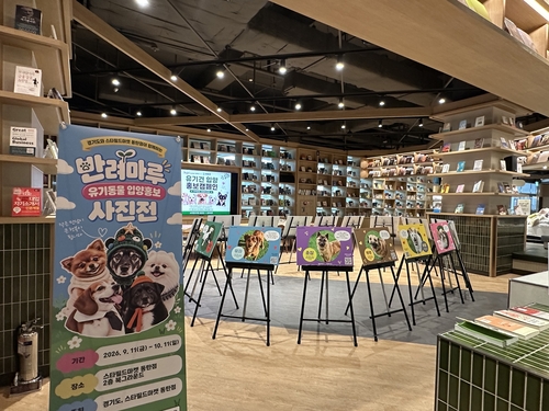 경기도 스타필드마켓 동탄점에서 유기동물 입양 홍보 사진전 개최