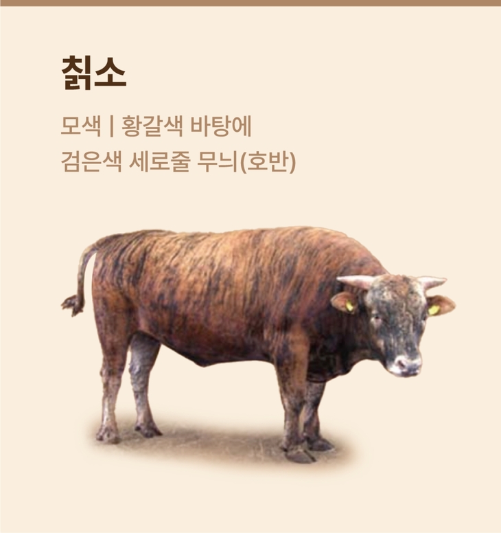 한우자조금, 품종·생산환경 따라 즐기는 '한우 테루아' 제안