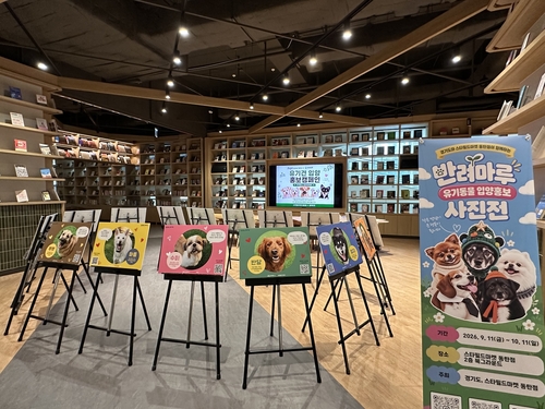 경기도 스타필드마켓 동탄점에서 유기동물 입양 홍보 사진전 개최