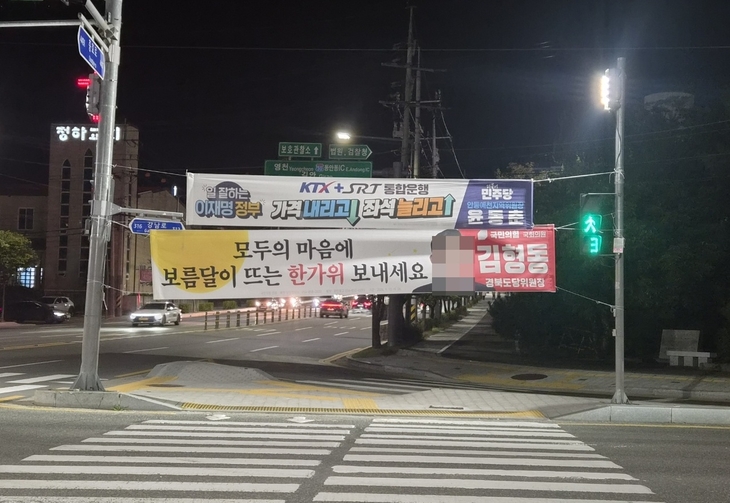 가로막은 정당 현수막…시민 통행 불편·안전 우려