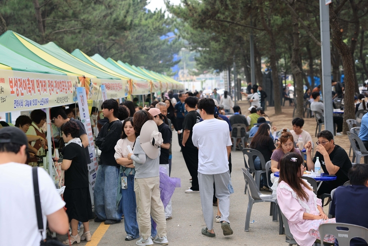 보성전어축제, 추석 연휴 4000명 발길