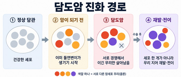 색깔이 다른 원은 서로 다른 암세포 무리를 뜻하며, X는 경쟁에서 밀려 사라진 무리다. 수술 후 재발·전이 또한 세포 한 개가 아닌 여러 세포 무리가 함
