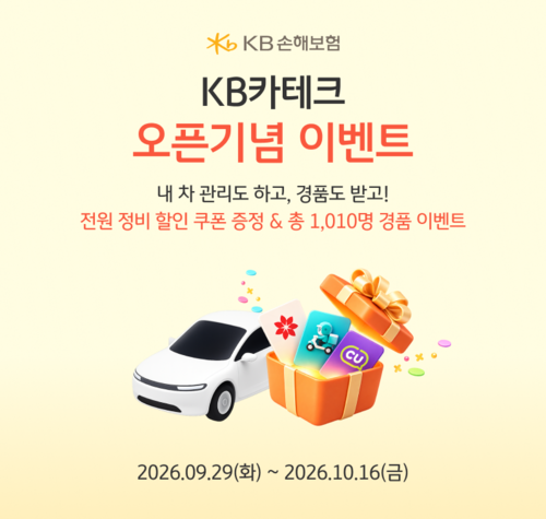 KB손보