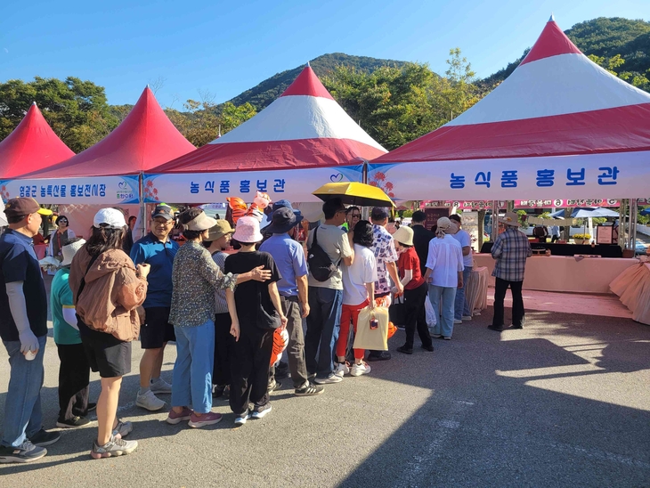 상사화축제 달군 영광 모싯잎송편·찰보리