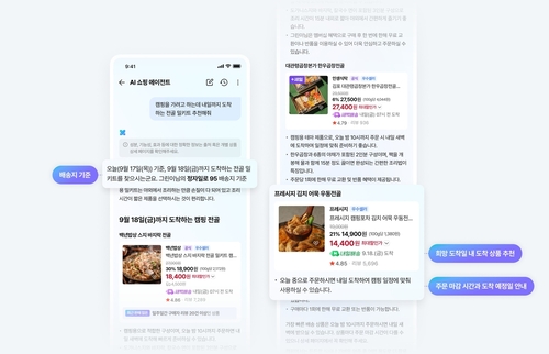 검색 상위 대신 ‘AI의 선택’ 받아야…빅테크, 쇼핑 길목 선점 경쟁