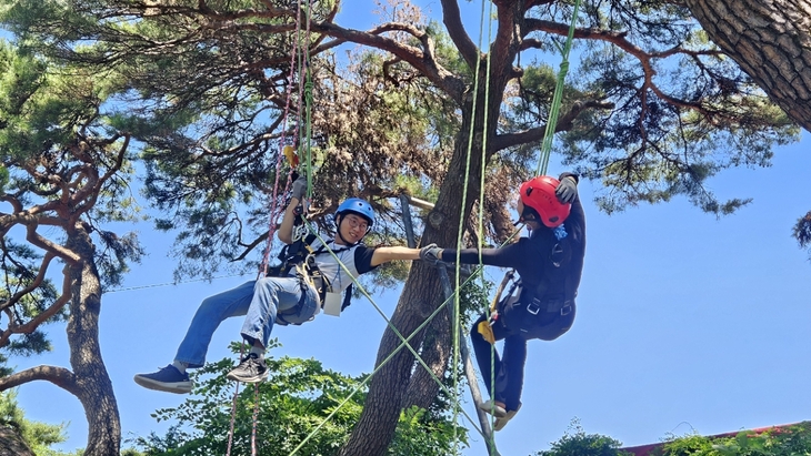 풍기인삼축제 즐기고 농촌에서 하룻밤…영주 체류형 관광 선보인다